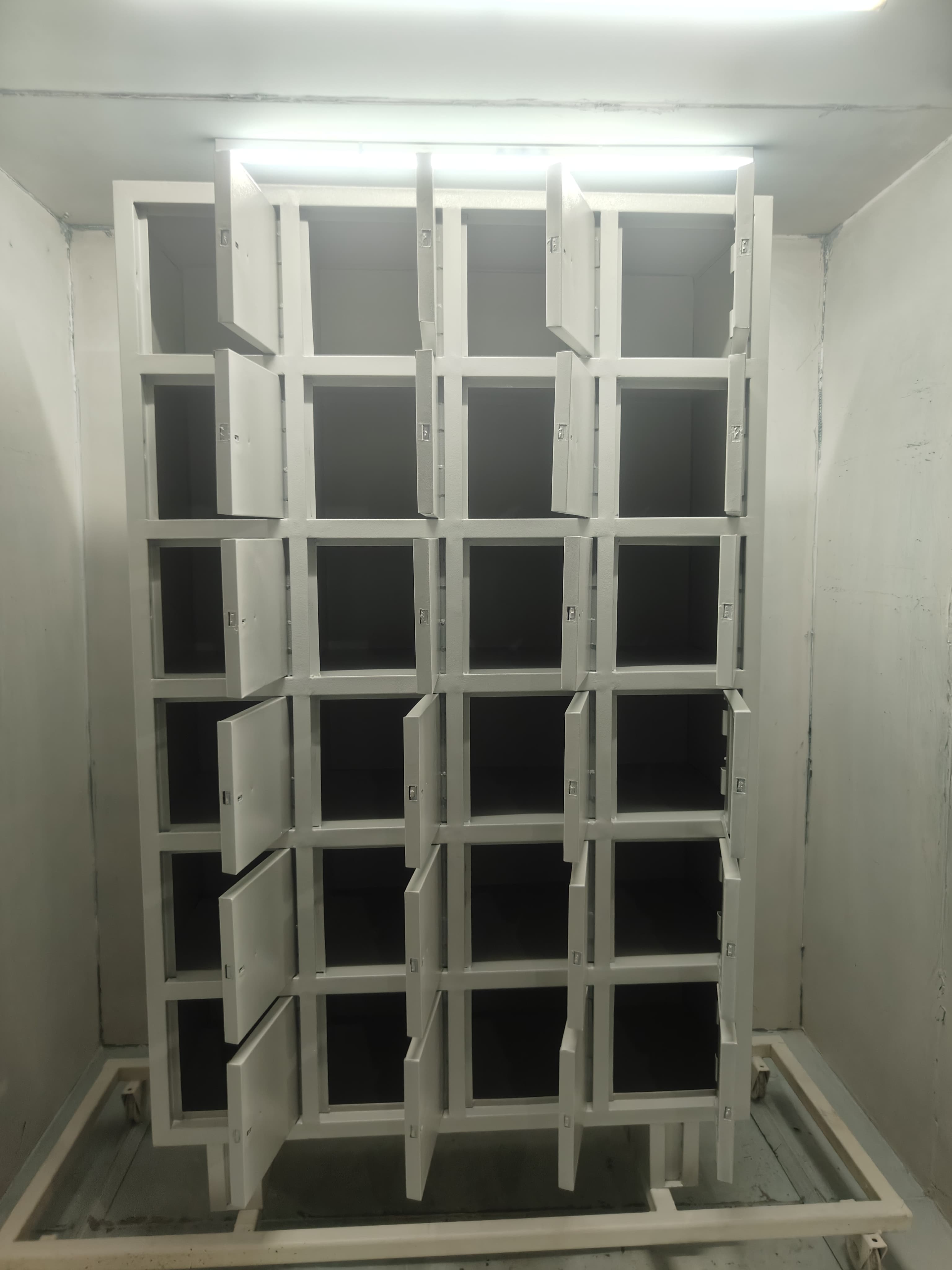 Customised locker project